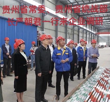 貴州省常委、貴州省統(tǒng)戰(zhàn)部長(zhǎng)嚴(yán)朝君一行來企業(yè)調(diào)研